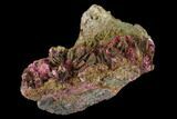 Magenta Erythrite Crystal Cluster - Morocco #137014-1